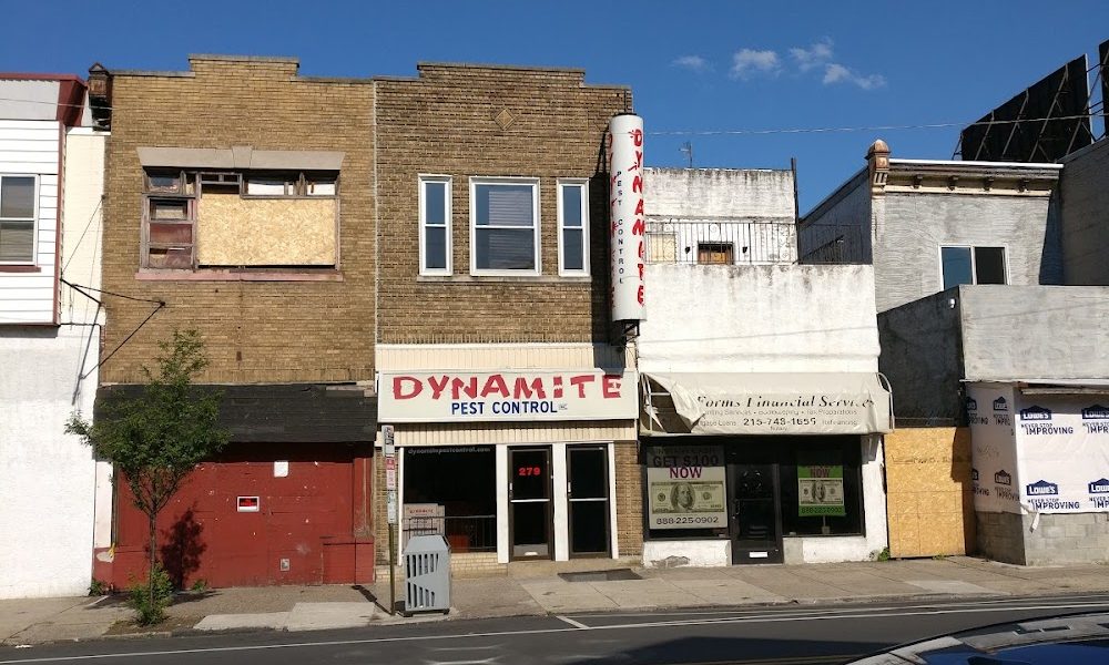 Dynamite Pest Control