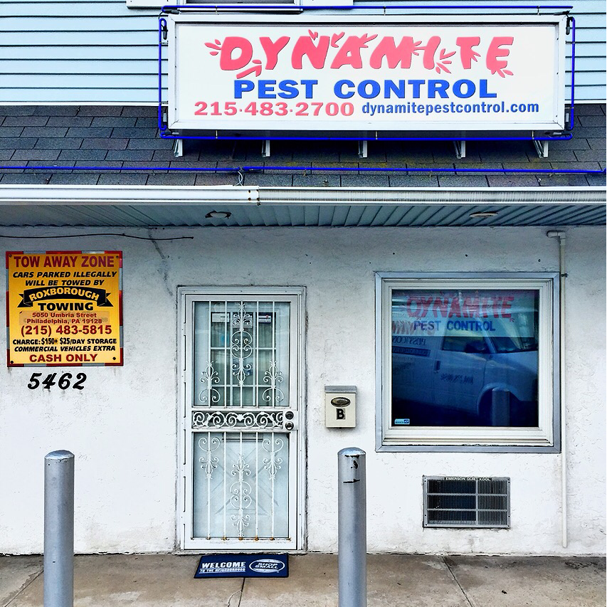 Dynamite Pest Control