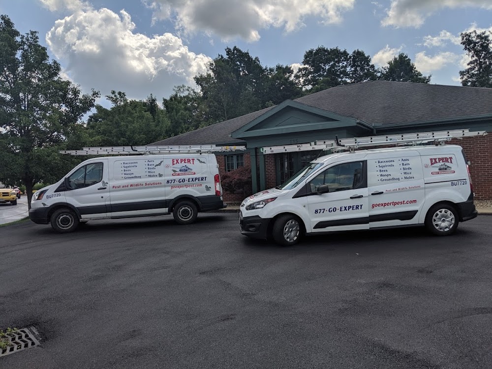 Expert Pest Management