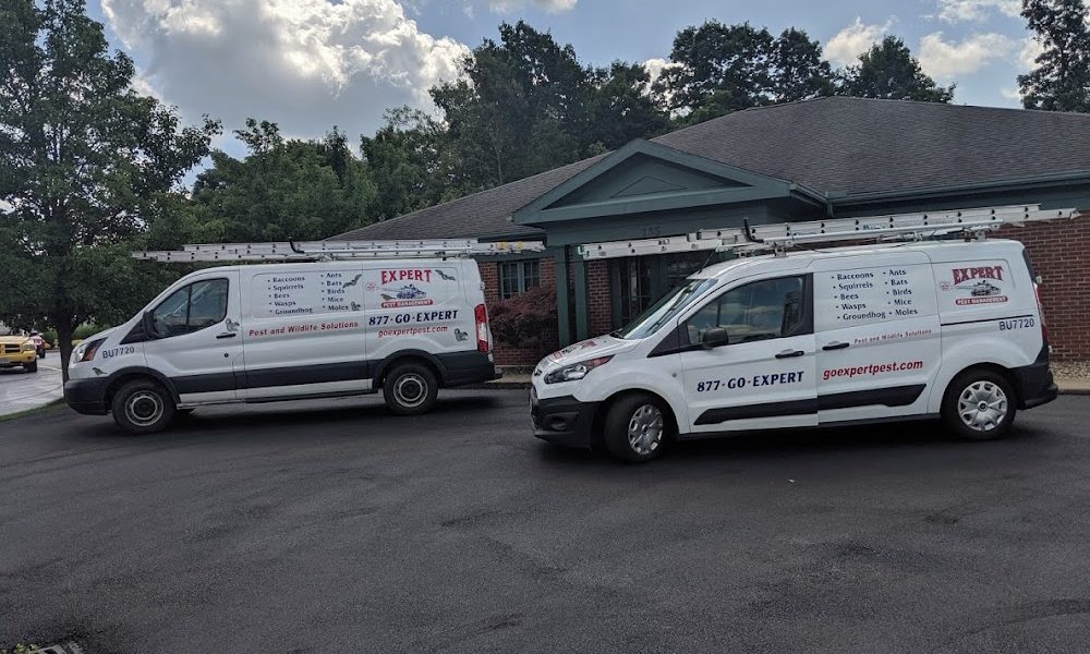 Expert Pest Management Inc.