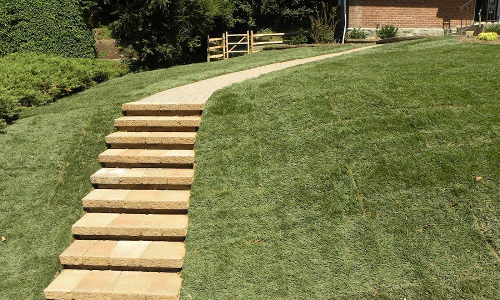 Froio’s Lawn & Landscape