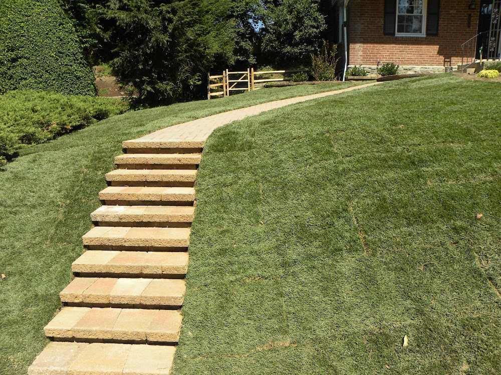 Froio’s Lawn & Landscape
