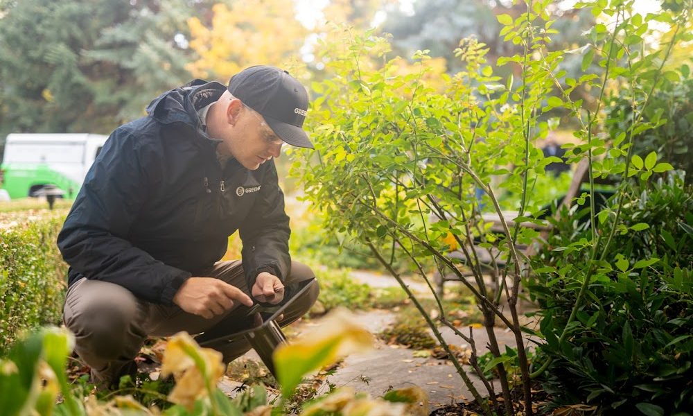Greenix Pest Control