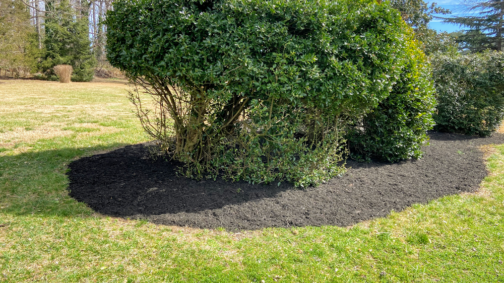 Greenland Landscaping & Tree Service