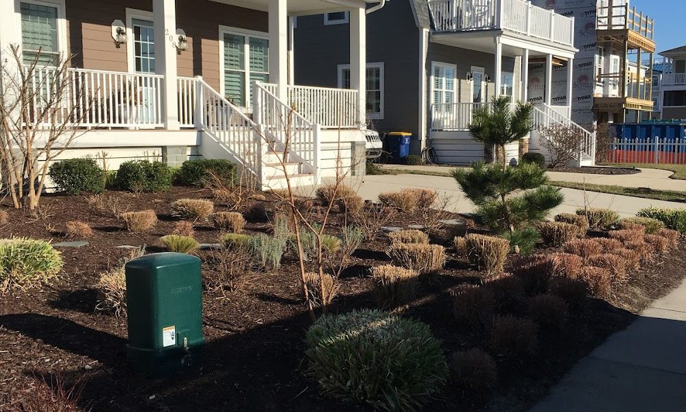 Lewes Town Landscaping LLC