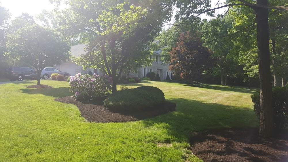 Martinez Landscaping & Stone