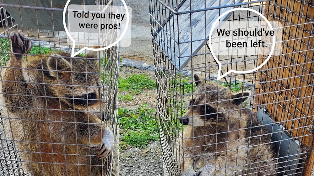 Next Generation Pest Control LLC