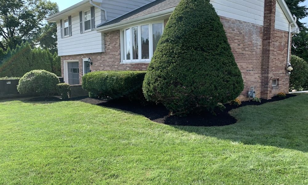 OSS landscaping