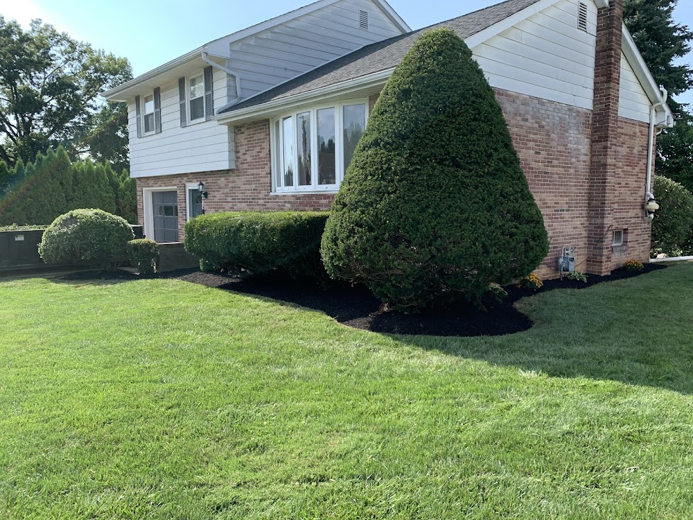 OSS landscaping