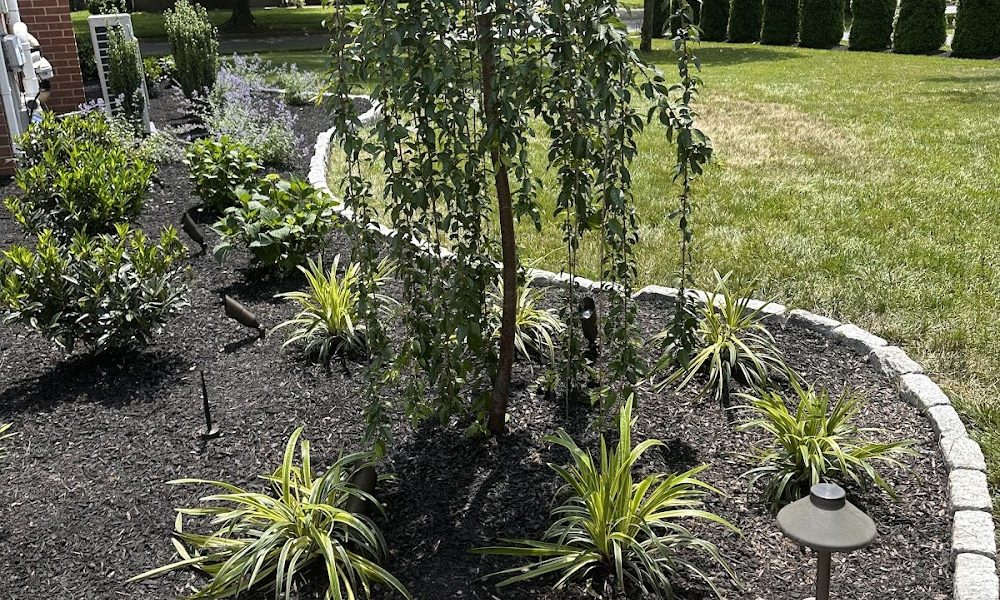 Paradise Landscaping LLC