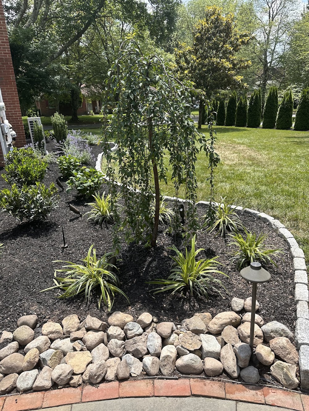 Paradise Landscaping LLC