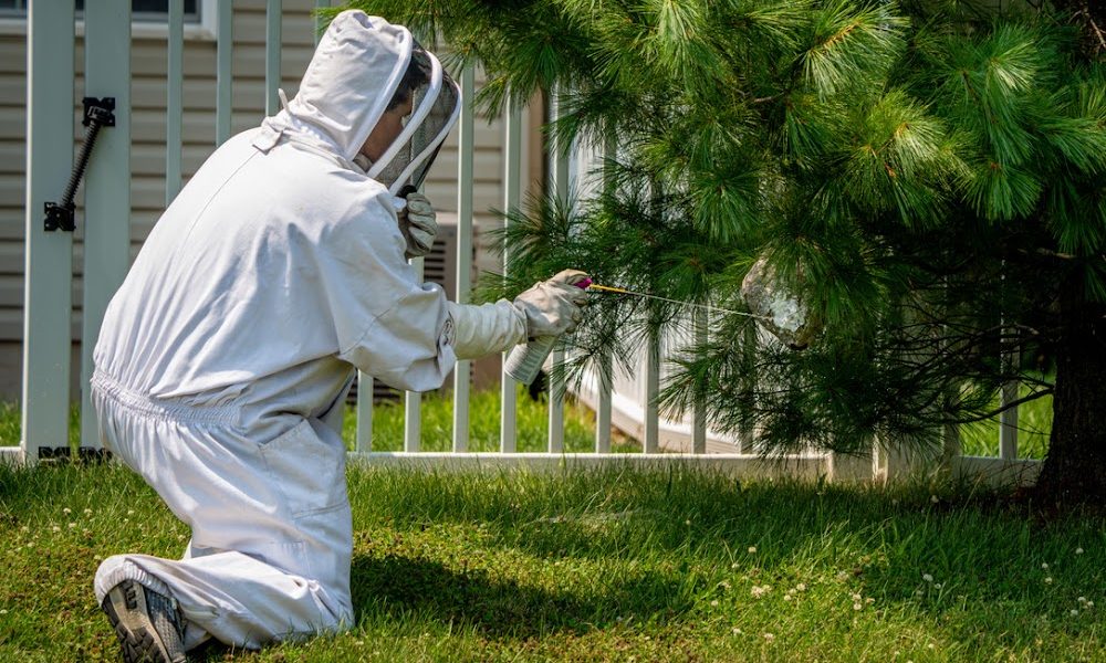 Quest Termite & Pest Management