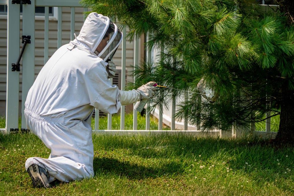 Quest Termite & Pest Management