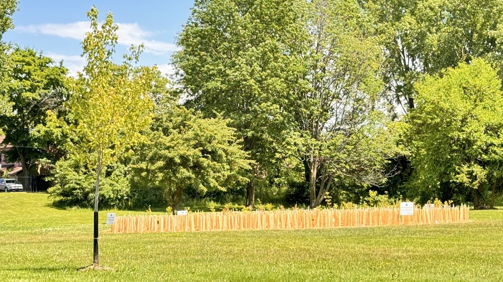 Robinhood Woodworking