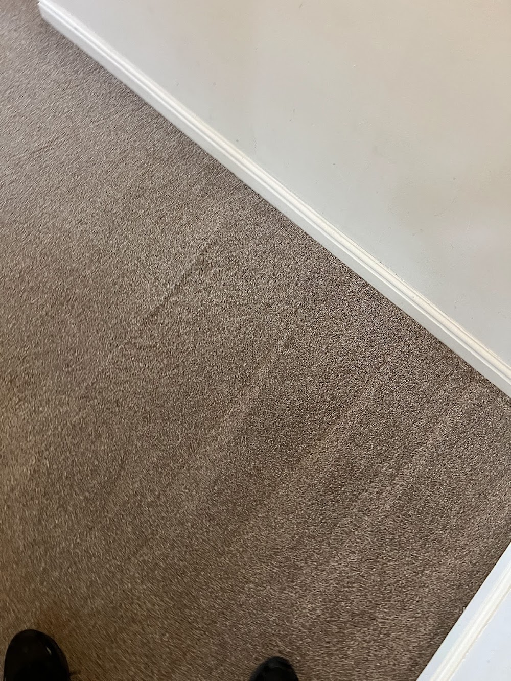 TF – Carpet Cleaning Reading