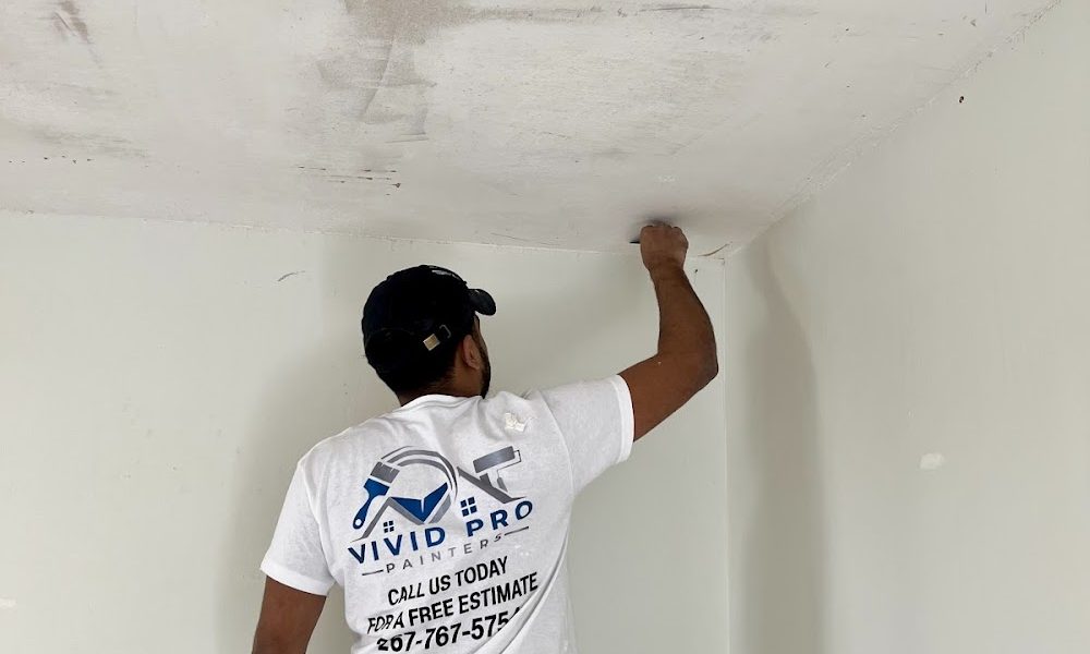 VividPro Painters