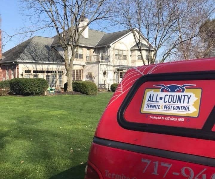 All County Termite & Pest Control