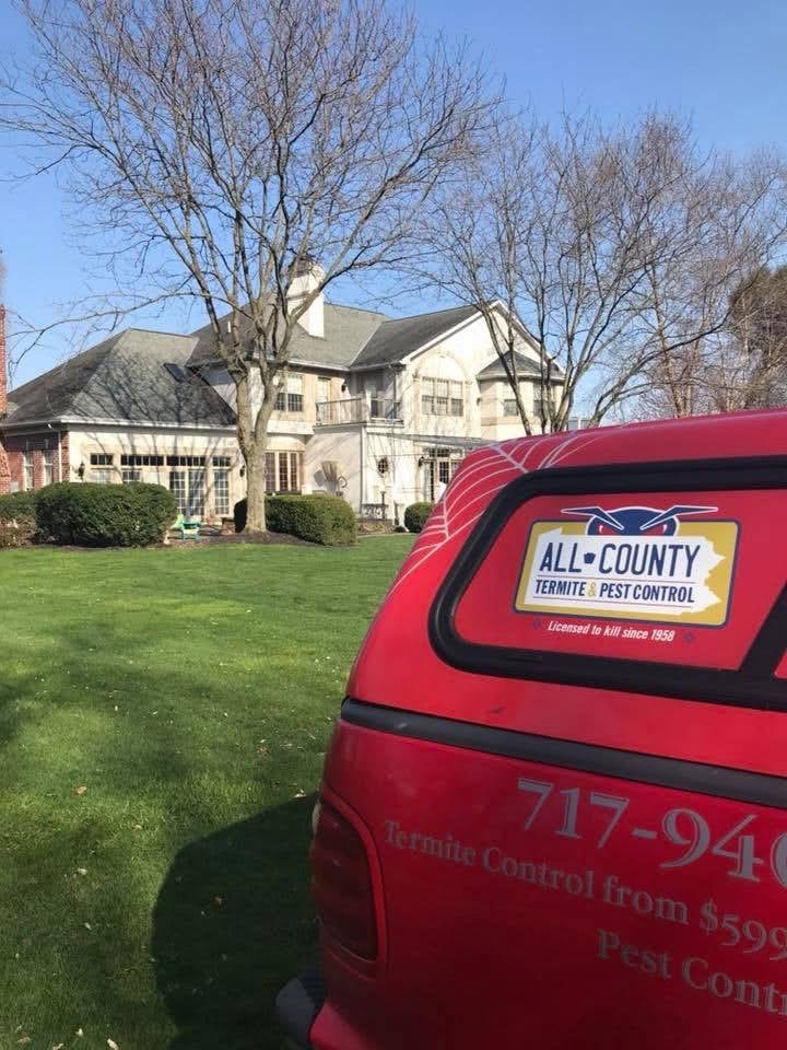 All County Termite & Pest Control