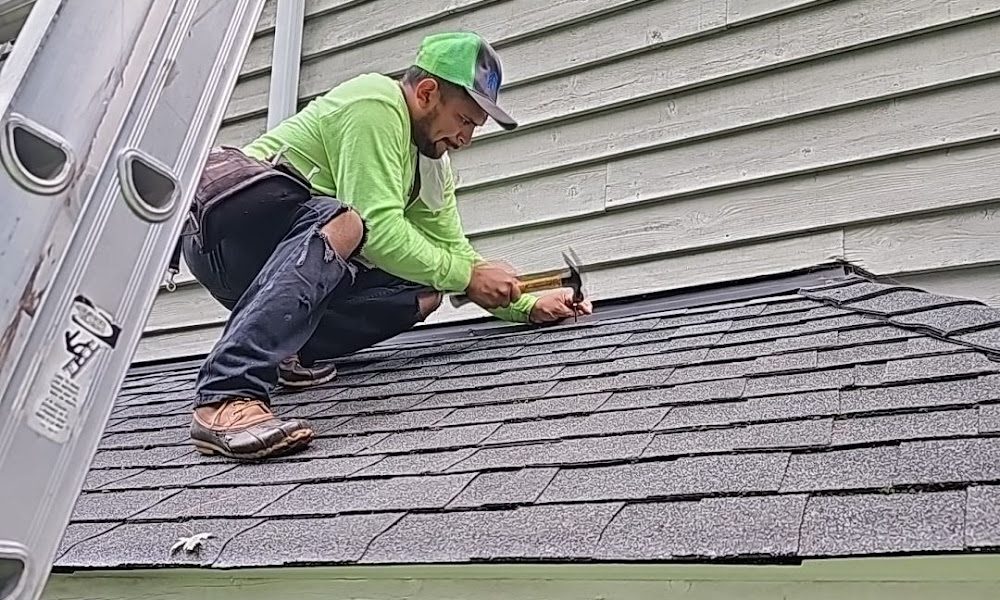 ALP Roofing