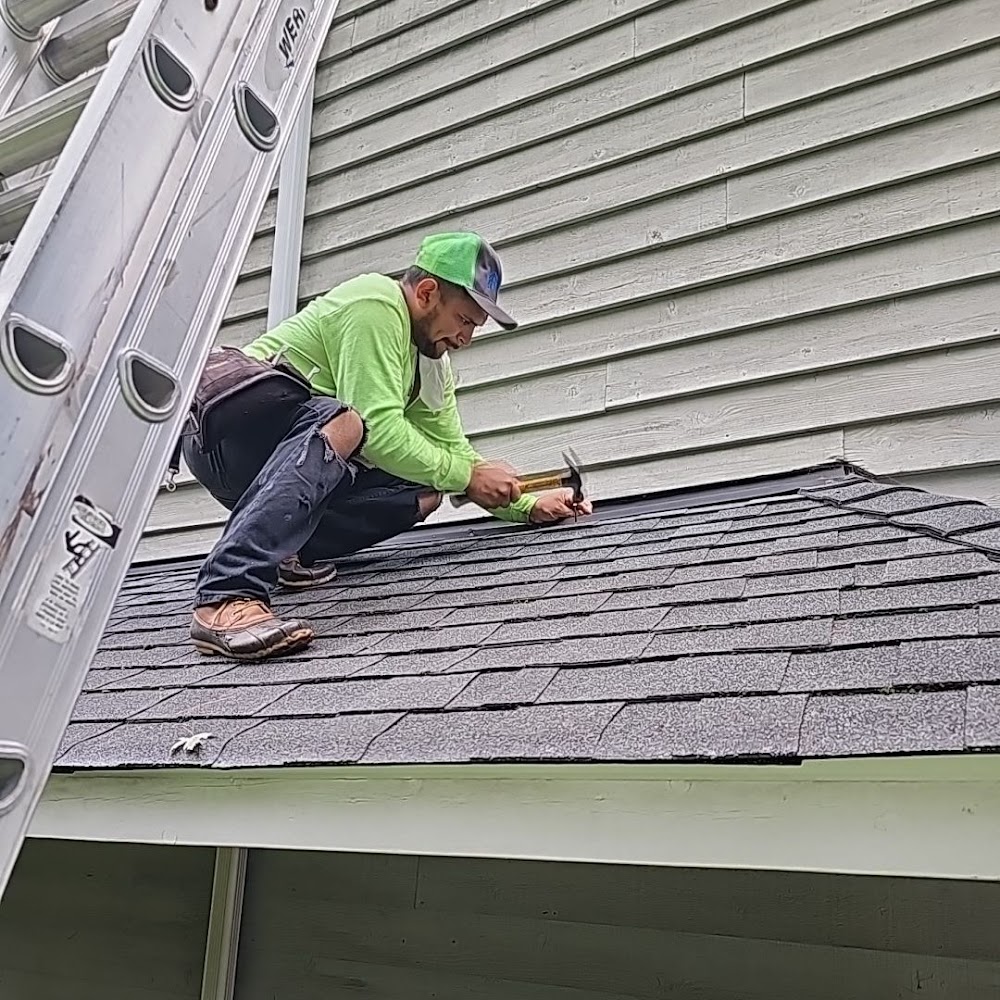 ALP Roofing