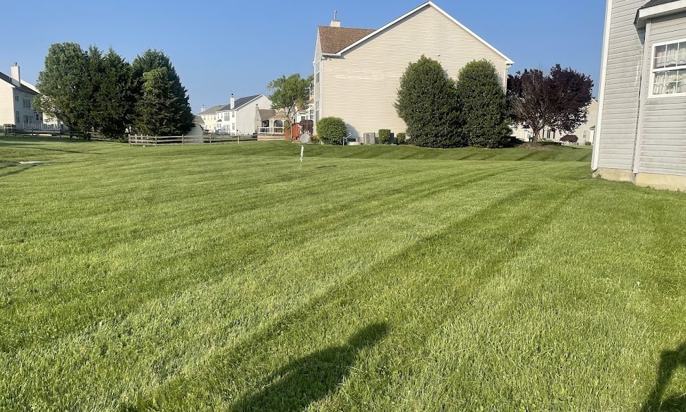 Arte Lawncare