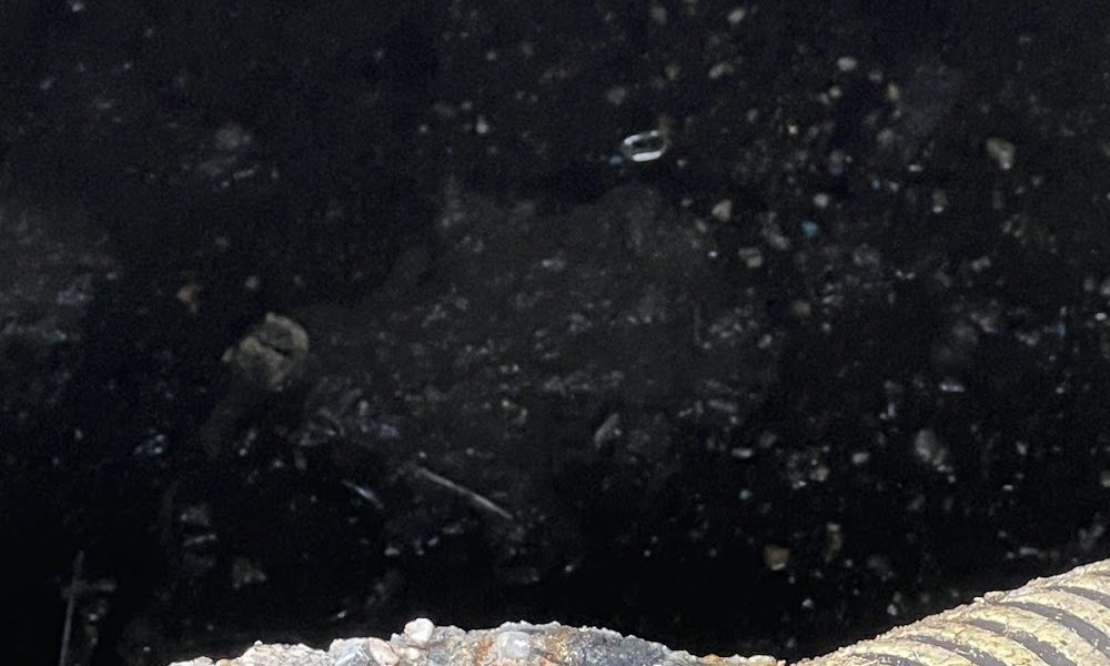 ASAP Pumping Services