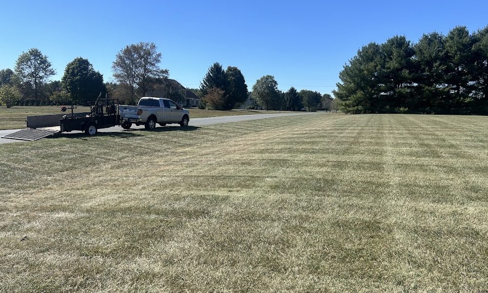 Ayon Lawn Care