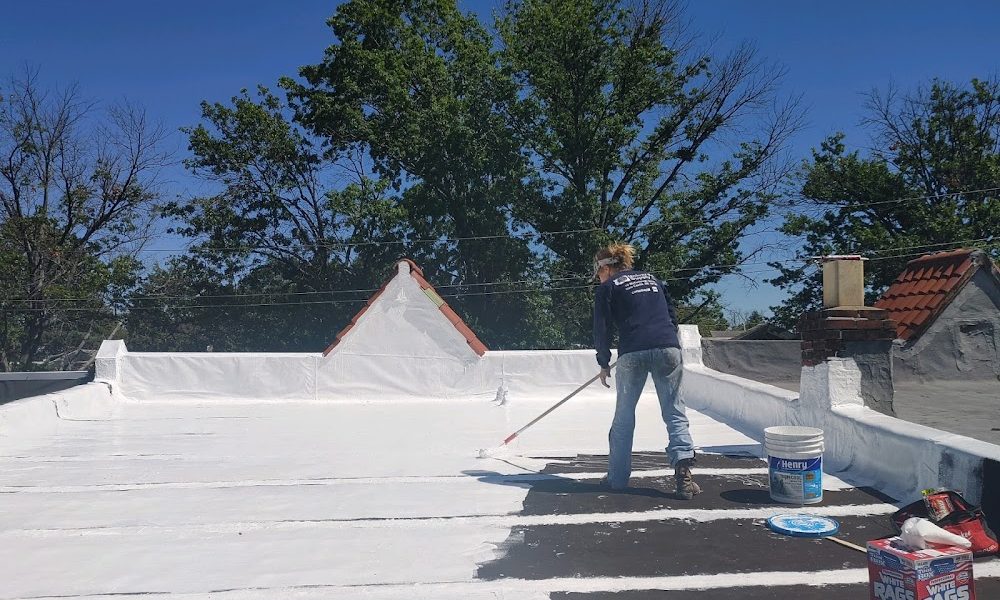 BluDog ROOFING, LLC