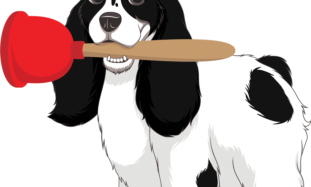 Borzell & Norbury Plumbing and Heating