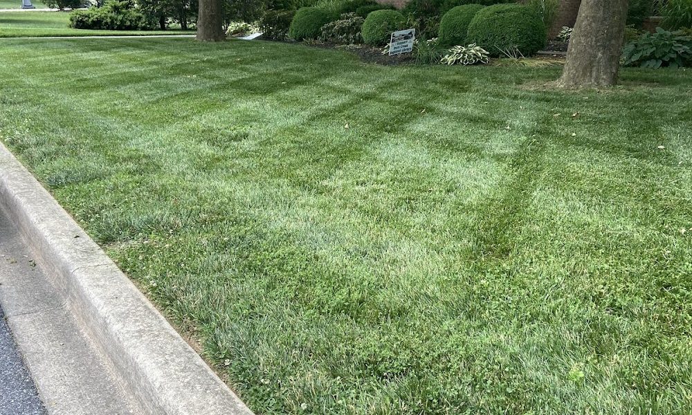 Bruce’s Lawn Service