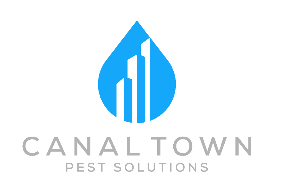 Canal Town Pest Solutions