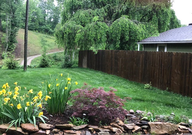 Clean Air Lawn Care