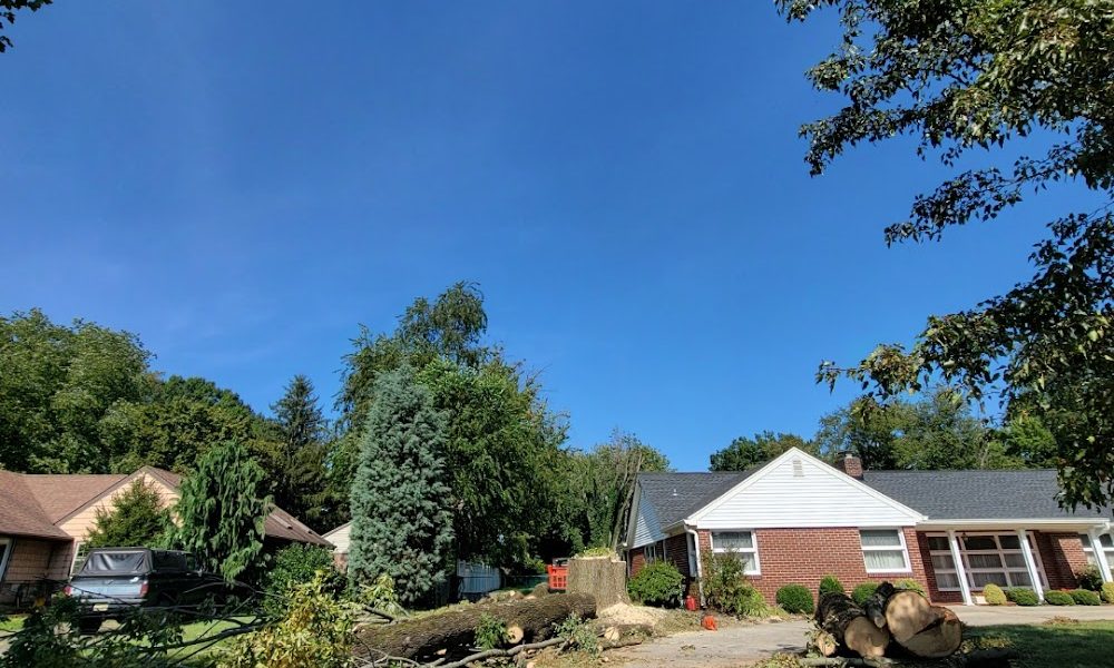 Clean Cuts Landscaping Services LLC