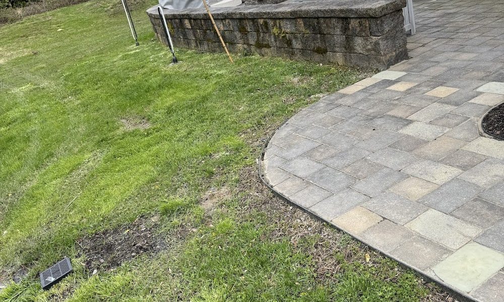 Delaware Lawn Crew LLC