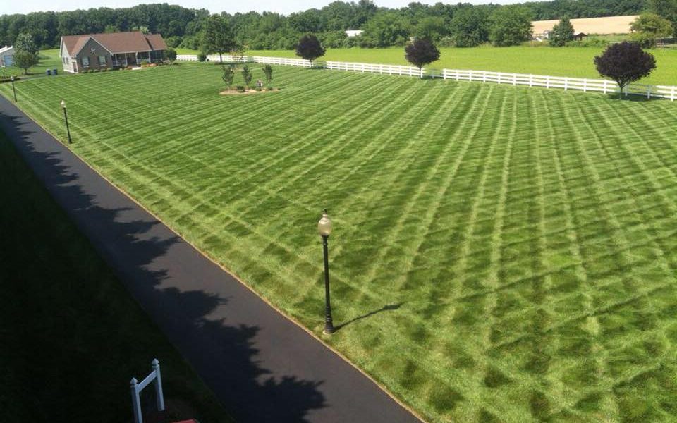 Dependable Lawn Care LLC