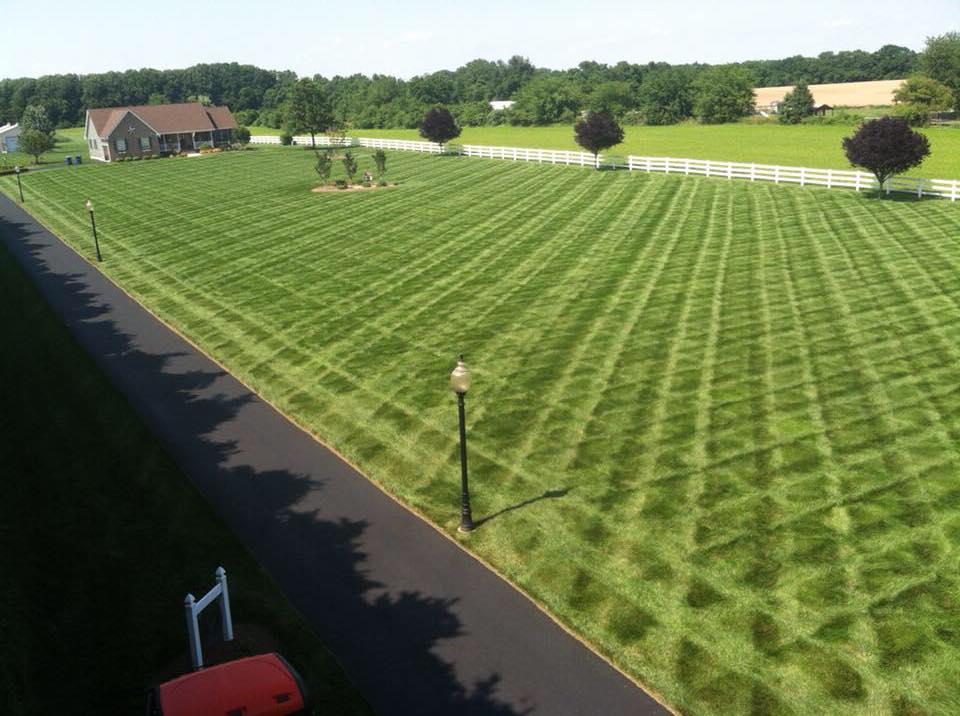 Dependable Lawn Care LLC