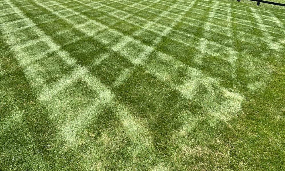 DuBois Landscaping & Maintenance, LLC