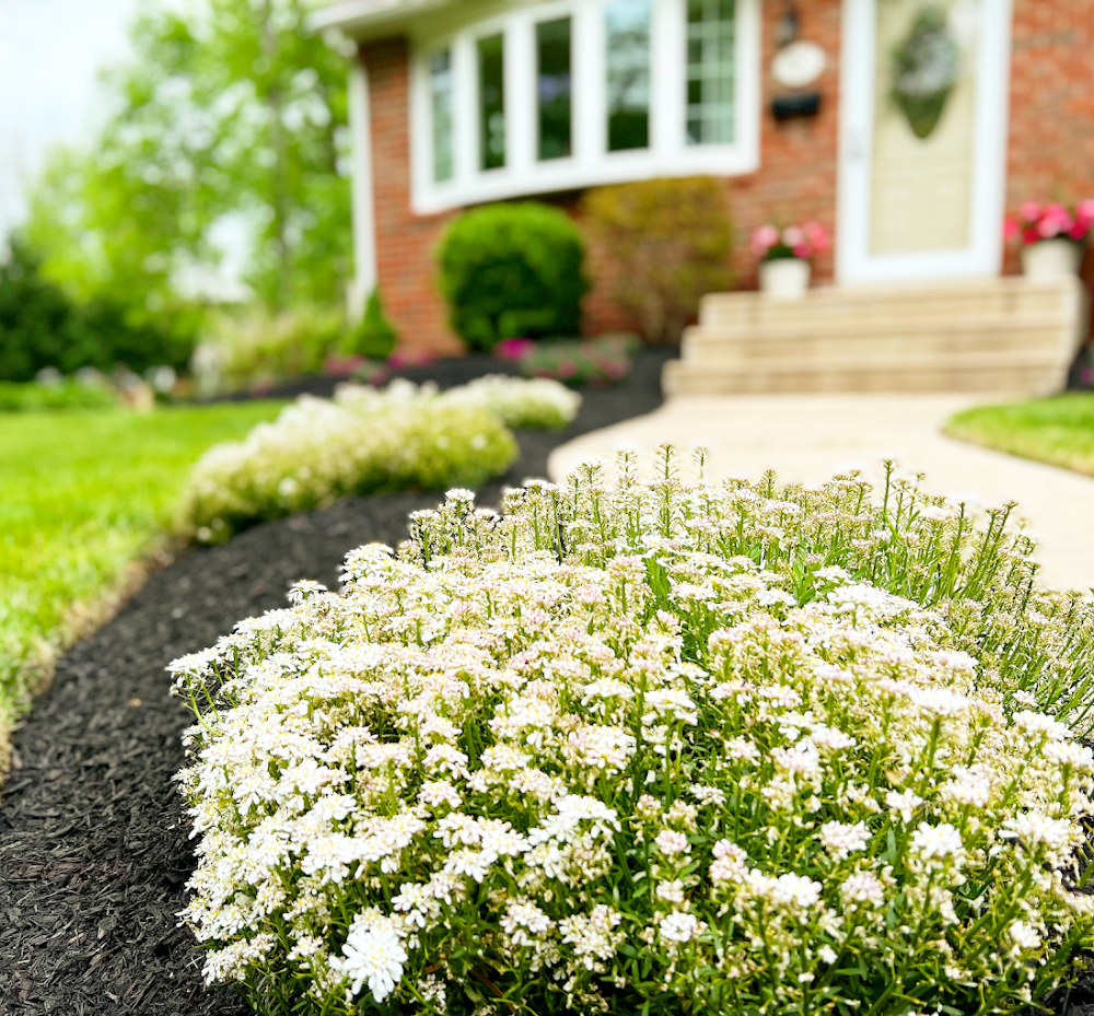 E&J Landscaping LLC