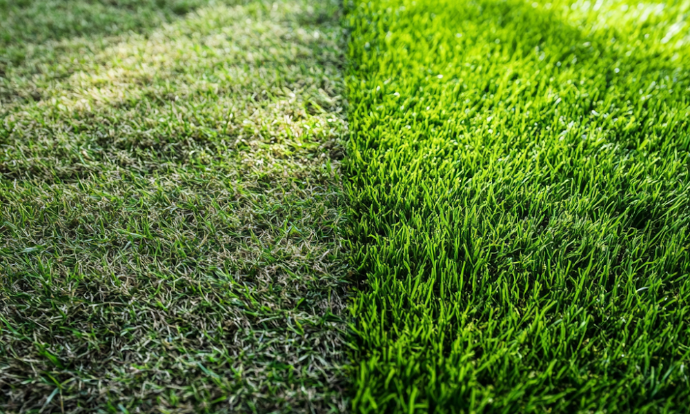 Fairways Lawn Care
