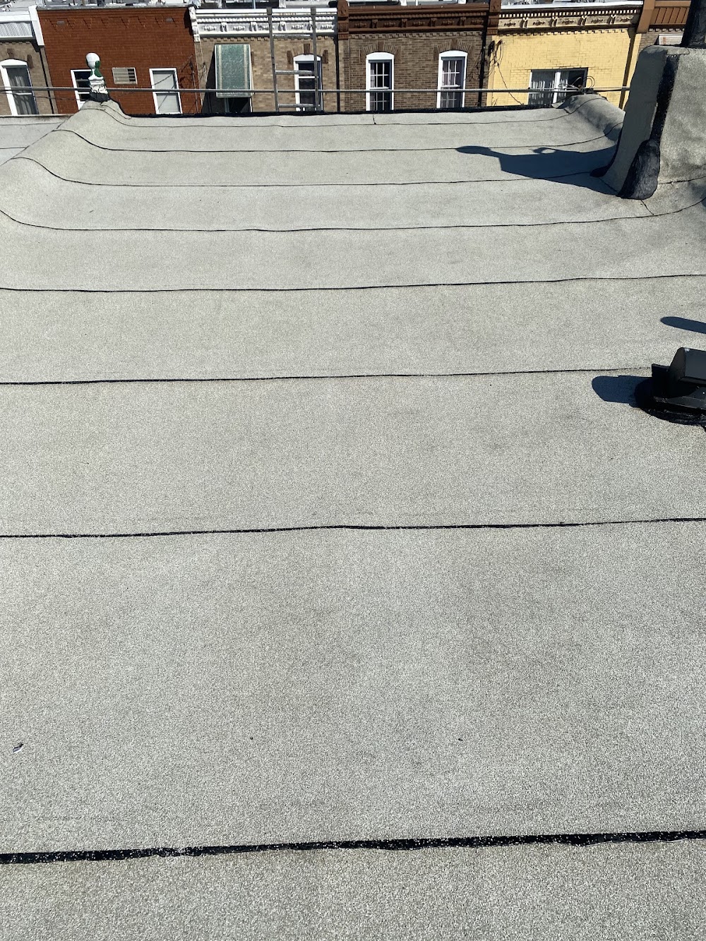 Fortuna Roofing