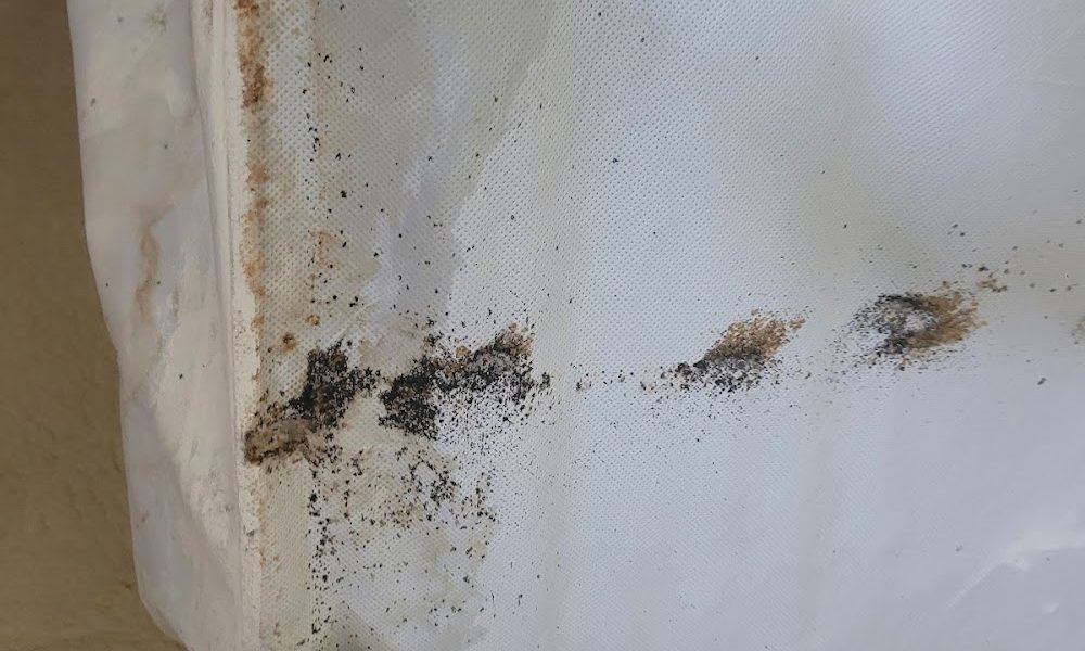 Fowler Pest Solutions