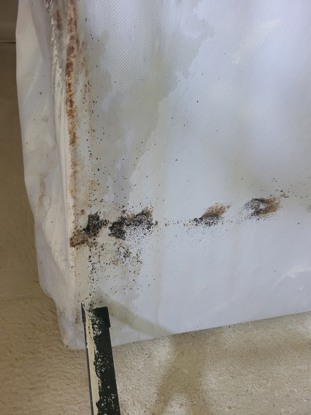 Fowler Pest Solutions