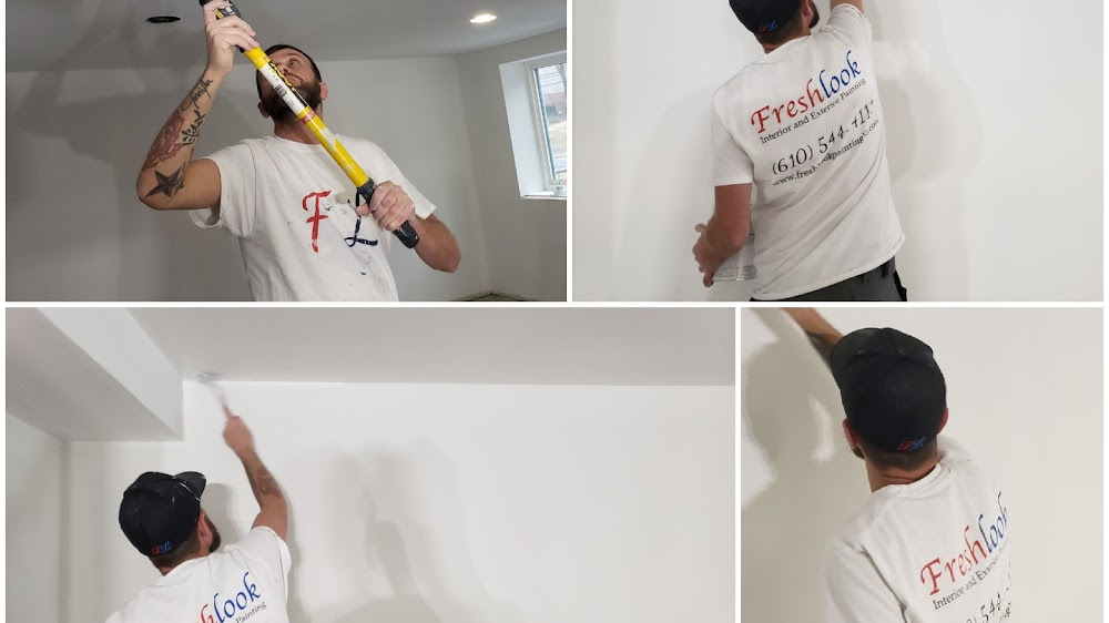 Freshlook Painting llc