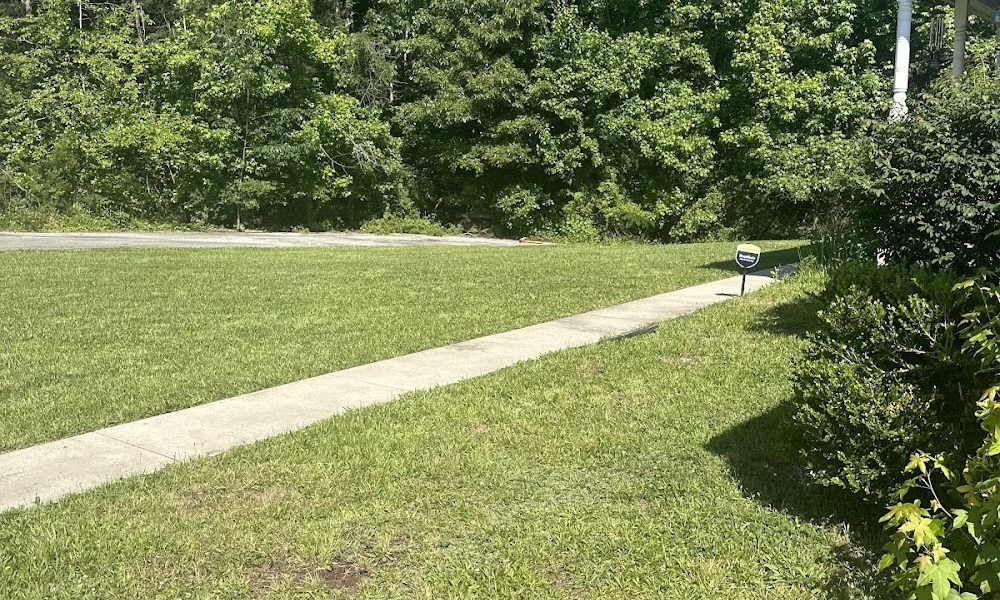 Frontline Pest and Termite of Salisbury