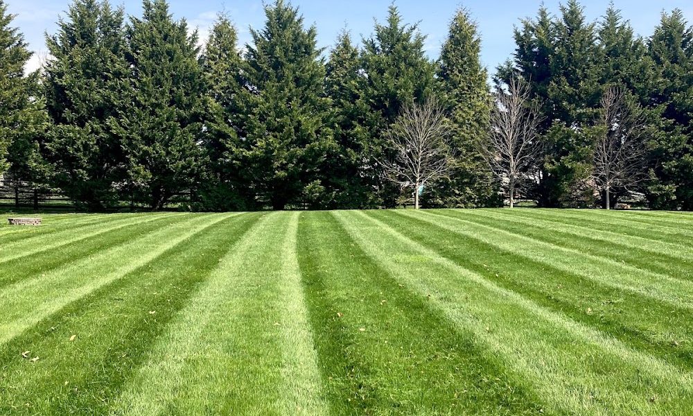 Gerard’s Lawn Care Plus, LLC