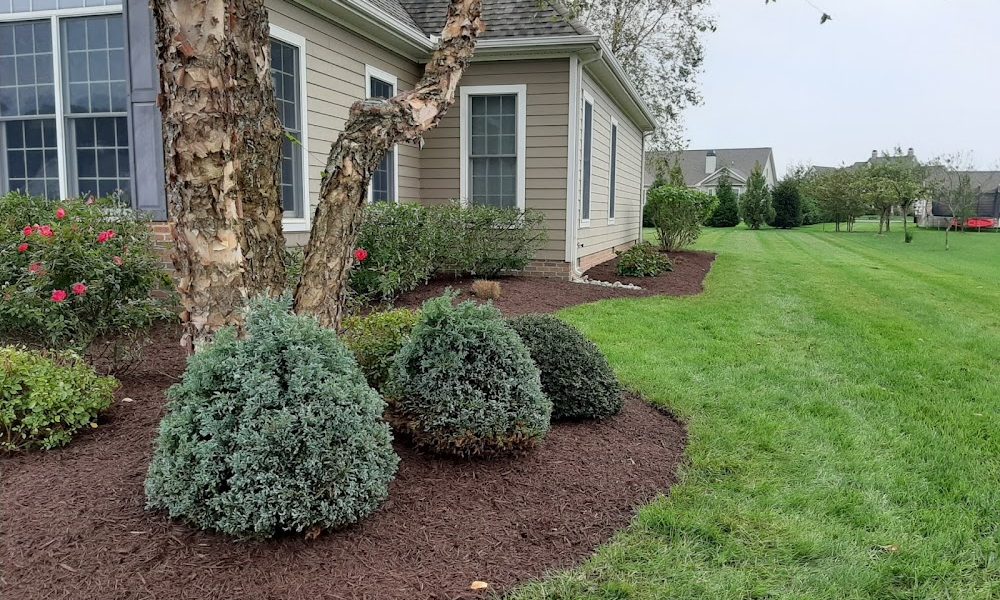 Green Oak Landscaping Services LLC