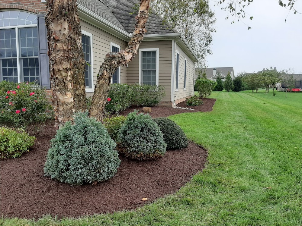 Green Oak Landscaping Services LLC