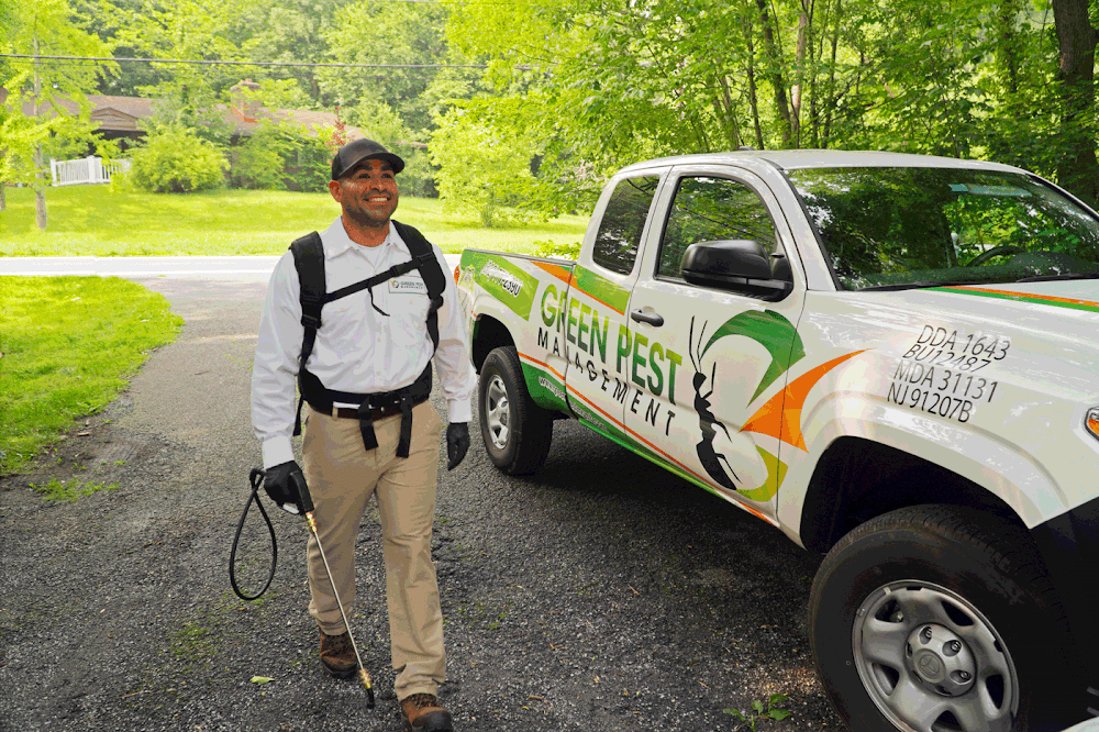 Green Pest Management