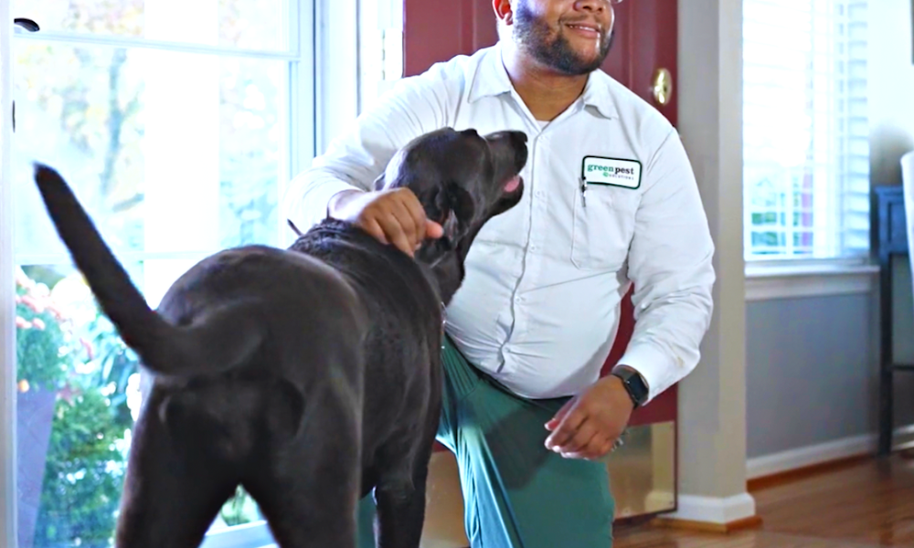 Green Pest Solutions