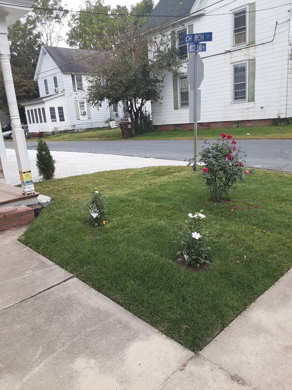 Hernández landscaping
